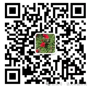 中考复习专题|古诗词鉴赏:语言风格 课件(PPT22张)-第24张图片-四季读书网