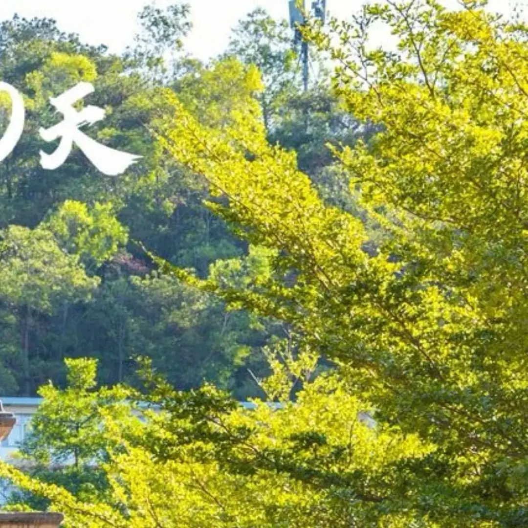 高考倒计时60天 | 青春炽热无畏,少年未来可期-第12张图片-四季读书网