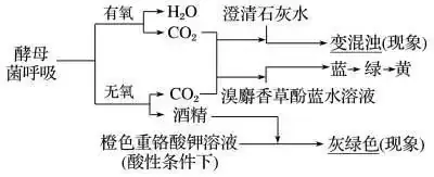 高考生物 | 生物学各类实验总结,必备!-第24张图片-四季读书网 高考生物 | 生物学各类实验总结,必备!-第24张图片-四季读书网