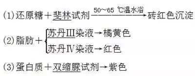 高考生物 | 生物学各类实验总结,必备!-第5张图片-四季读书网 高考生物 | 生物学各类实验总结,必备!-第5张图片-四季读书网