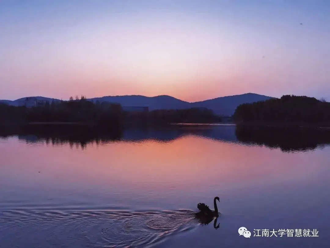 【征文】@2024准毕业生们,高考志愿怎么填?你的声音很重要!-第1张图片-四季读书网