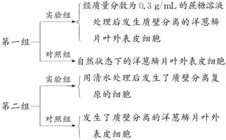 高考生物 | 生物学各类实验总结,必备!-第13张图片-四季读书网 高考生物 | 生物学各类实验总结,必备!-第13张图片-四季读书网