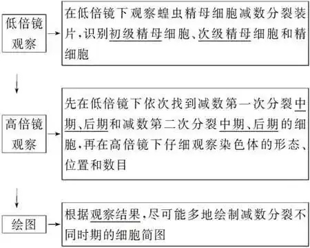 高考生物 | 生物学各类实验总结,必备!-第35张图片-四季读书网 高考生物 | 生物学各类实验总结,必备!-第35张图片-四季读书网