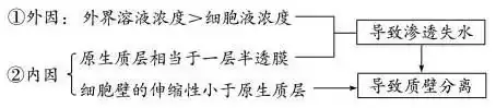 高考生物 | 生物学各类实验总结,必备!-第14张图片-四季读书网 高考生物 | 生物学各类实验总结,必备!-第14张图片-四季读书网