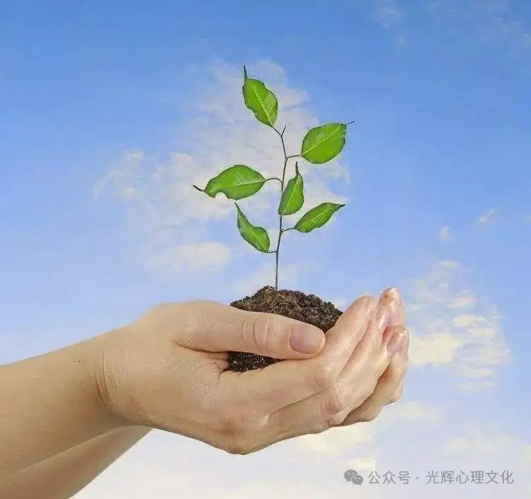 不焦虑 “赢”接中高考-第1张图片-四季读书网