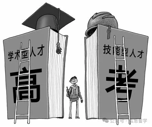 2024 中国高考政策-第7张图片-四季读书网