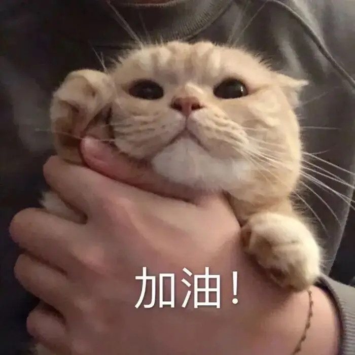 高考最后60天,禁止摆烂!-第7张图片-四季读书网