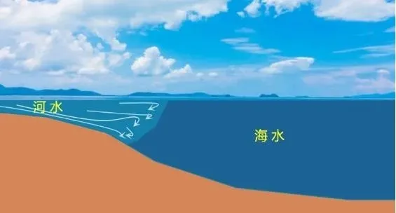 高考地理 | 什么是水体的顶托作用-第3张图片-四季读书网