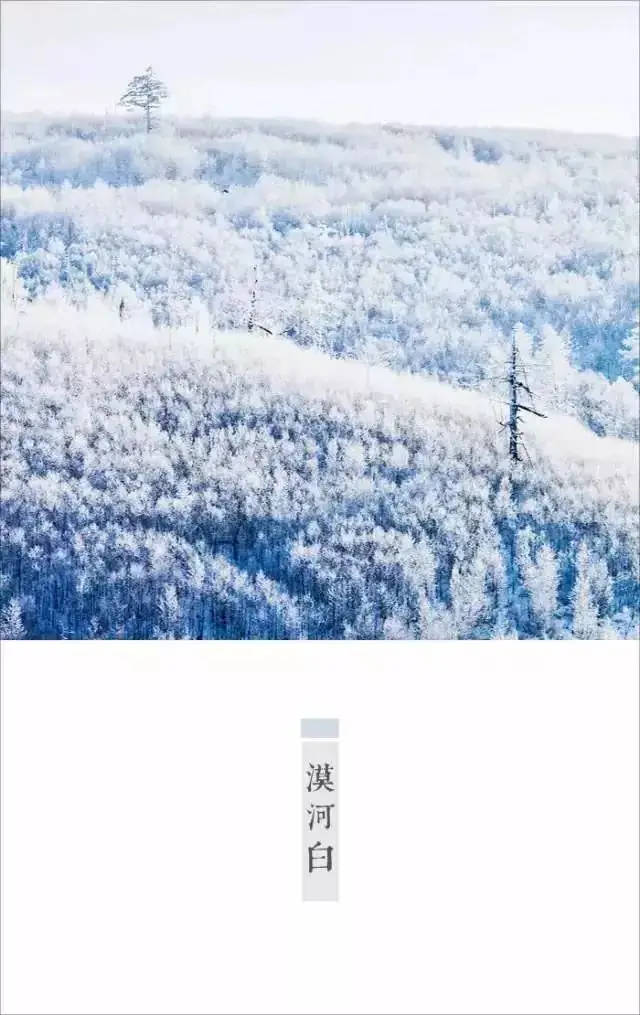 高考作文丨寻找小林:走近“最暖心”的全国卷3卷漫画作者的斜杠人生-第28张图片-四季读书网 高考作文丨寻找小林:走近“最暖心”的全国卷3卷漫画作者的斜杠人生-第28张图片-四季读书网