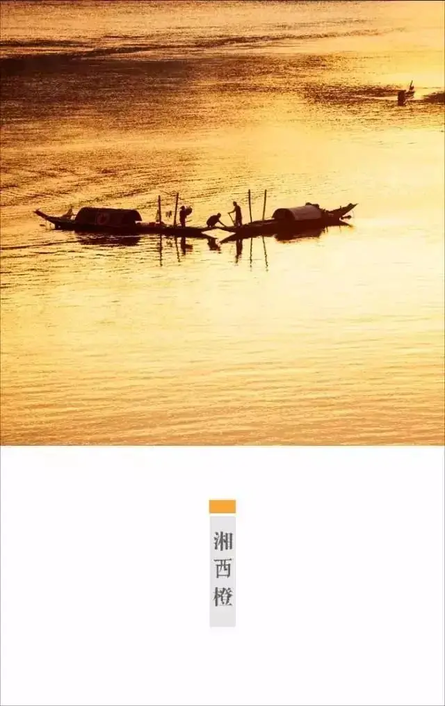 高考作文丨寻找小林:走近“最暖心”的全国卷3卷漫画作者的斜杠人生-第25张图片-四季读书网 高考作文丨寻找小林:走近“最暖心”的全国卷3卷漫画作者的斜杠人生-第25张图片-四季读书网