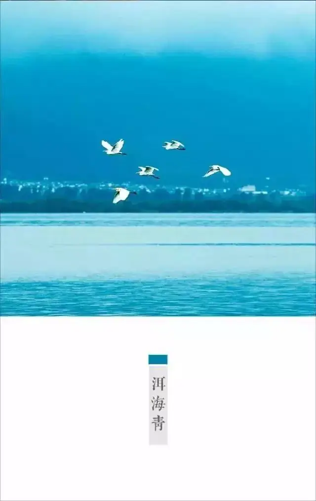 高考作文丨寻找小林:走近“最暖心”的全国卷3卷漫画作者的斜杠人生-第26张图片-四季读书网 高考作文丨寻找小林:走近“最暖心”的全国卷3卷漫画作者的斜杠人生-第26张图片-四季读书网