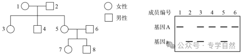 高考生物 | 遗传的基本规律、伴性遗传专题(近四年高考题)-第1张图片-四季读书网