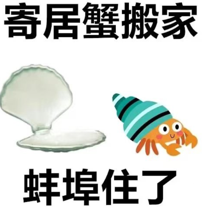 预警!今年高考或成史上是最难的一届?近22万学考落榜生将加入高考竞争?-第14张图片-四季读书网 预警!今年高考或成史上是最难的一届?近22万学考落榜生将加入高考竞争?-第14张图片-四季读书网