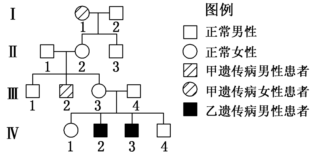 【高考真题】2011年海南卷生物试题-第6张图片-四季读书网 【高考真题】2011年海南卷生物试题-第6张图片-四季读书网
