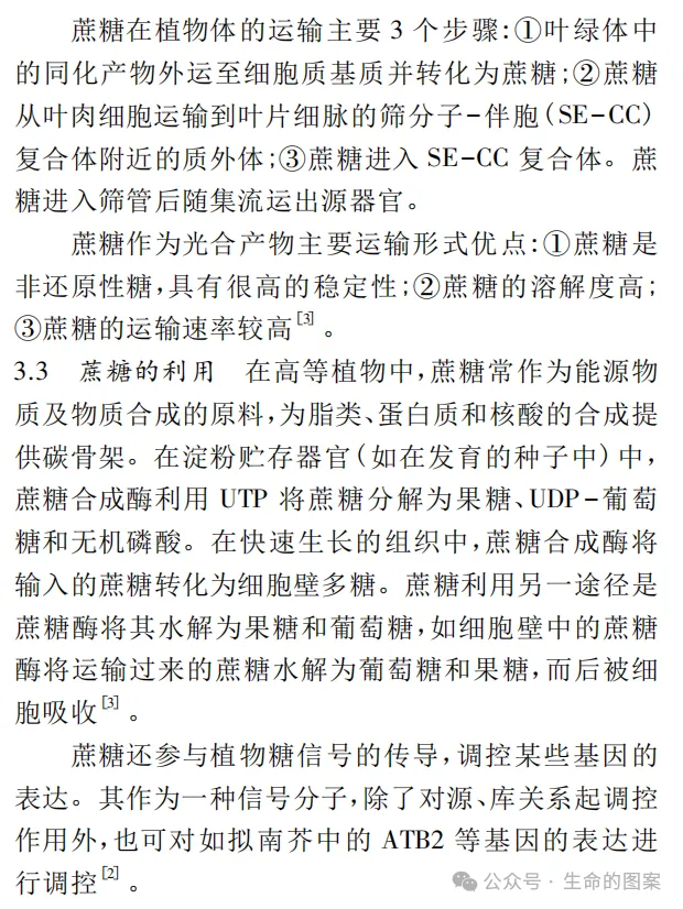 一道“蔗糖”高考题引发的思考-第10张图片-四季读书网