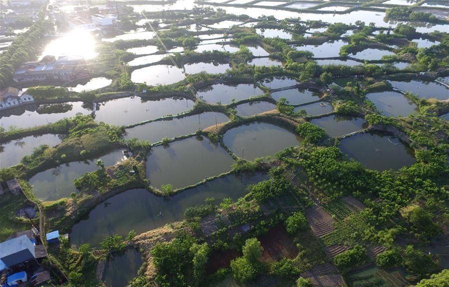 高考地理中的土壤盐碱化-第8张图片-四季读书网