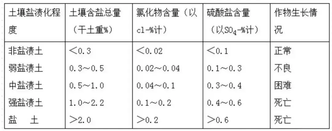 高考地理中的土壤盐碱化-第2张图片-四季读书网