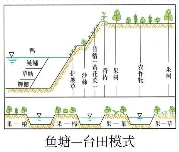 高考地理中的土壤盐碱化-第9张图片-四季读书网