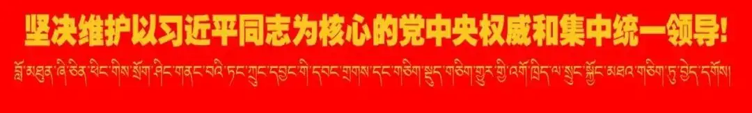 【高考动态】林芝市2024高考备考视导工作在林芝二高举行-第1张图片-四季读书网