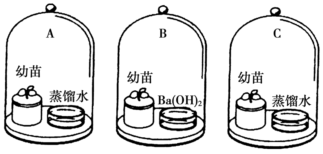 【高考真题】2011年海南卷生物试题-第3张图片-四季读书网 【高考真题】2011年海南卷生物试题-第3张图片-四季读书网