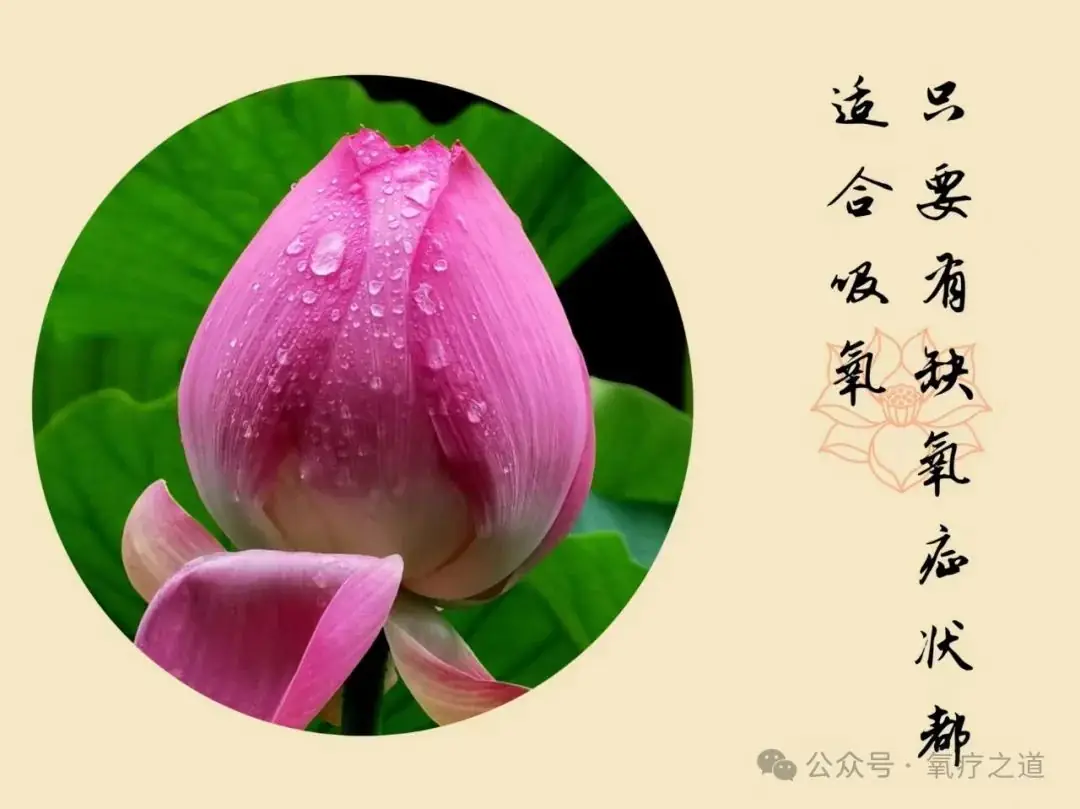 高考前吸氧到底是噱头?还是真的有必要? 第3张