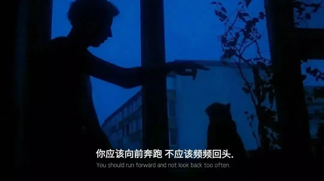 高考前,千万别想复读这回事 第14张
