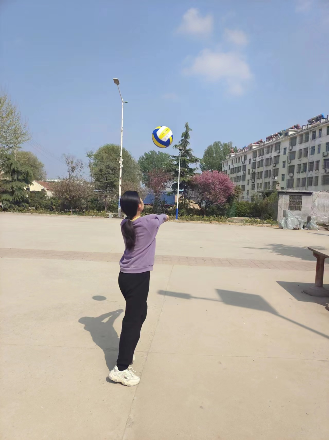 【强镇筑基 中考加油】九年级二班杜佳泽我的中考说-第2张图片-四季读书网