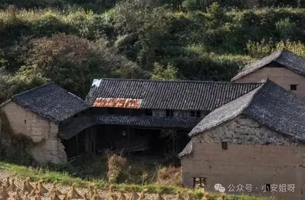 回顾:2022年高考601分少女高调庆祝,遭嫉妒被杀,凶手竟是亲人-第13张图片-四季读书网 回顾:2022年高考601分少女高调庆祝,遭嫉妒被杀,凶手竟是亲人-第13张图片-四季读书网