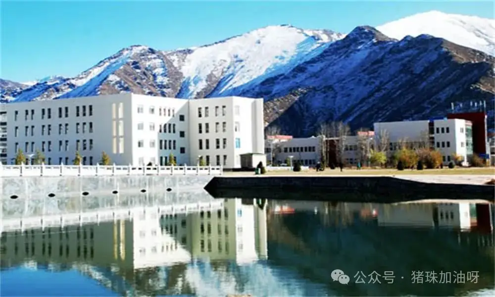 高考重要性与大学选择 第2张 高考重要性与大学选择 第2张