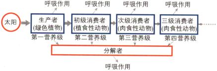 高考生物 :生物与环境(回归教材练)-第3张图片-四季读书网 高考生物 :生物与环境(回归教材练)-第3张图片-四季读书网