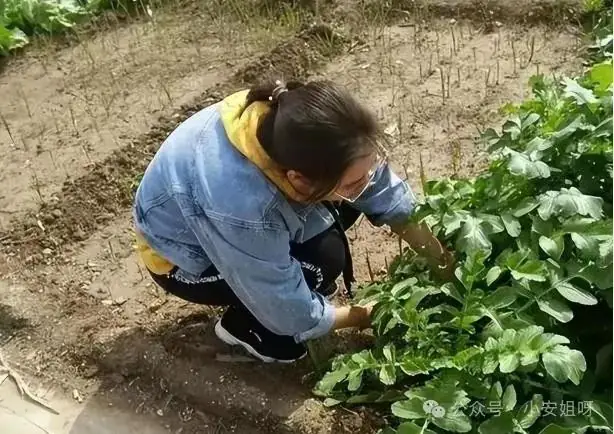 回顾:2022年高考601分少女高调庆祝,遭嫉妒被杀,凶手竟是亲人-第12张图片-四季读书网 回顾:2022年高考601分少女高调庆祝,遭嫉妒被杀,凶手竟是亲人-第12张图片-四季读书网