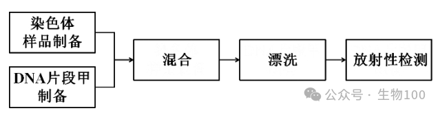 高考姊妹题(15):dNTP与DNA的关系(2021甲卷继承了2016卷Ⅰ)-第1张图片-四季读书网