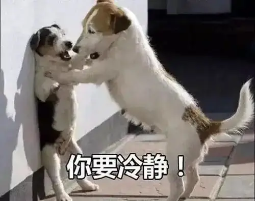 高考每年都有0分卷,你会是那个“幸运儿”吗?-第24张图片-四季读书网