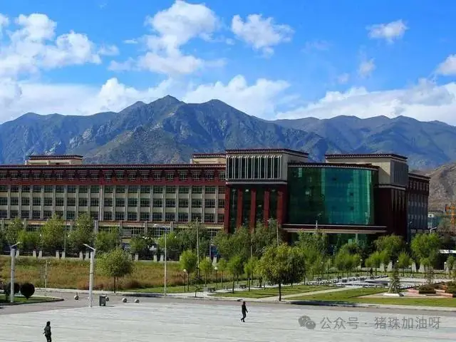 高考重要性与大学选择 第3张 高考重要性与大学选择 第3张