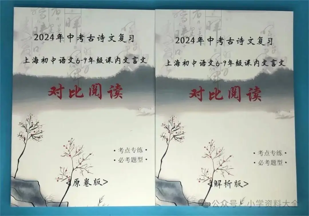 2024年中考古诗文复习-‎-⁢〈上海初中语文6-⁦9年级课内古诗文对比阅读-‪考点专练,⁥必考题型〉-第1张图片-四季读书网