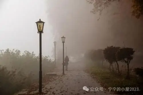 高考物理大神王春阳抖音成人自考物理培训力学上下电学高中物理 wpq-第6张图片-四季读书网