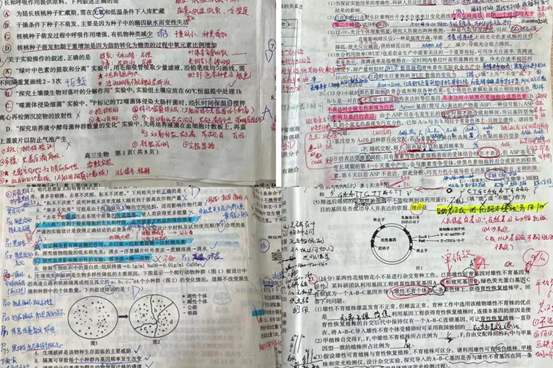 【提升】凝心聚力专教研,运筹帷幄迎高考——高三生物组教研活动 第2张 【提升】凝心聚力专教研,运筹帷幄迎高考——高三生物组教研活动 第2张