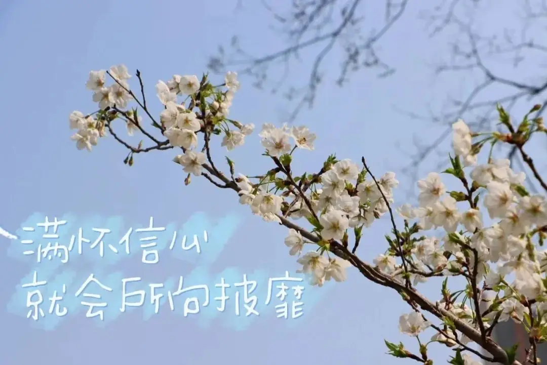 高考倒计时五十天 | 春风得意马蹄疾,一日看尽巢院“花”-第3张图片-四季读书网 高考倒计时五十天 | 春风得意马蹄疾,一日看尽巢院“花”-第3张图片-四季读书网