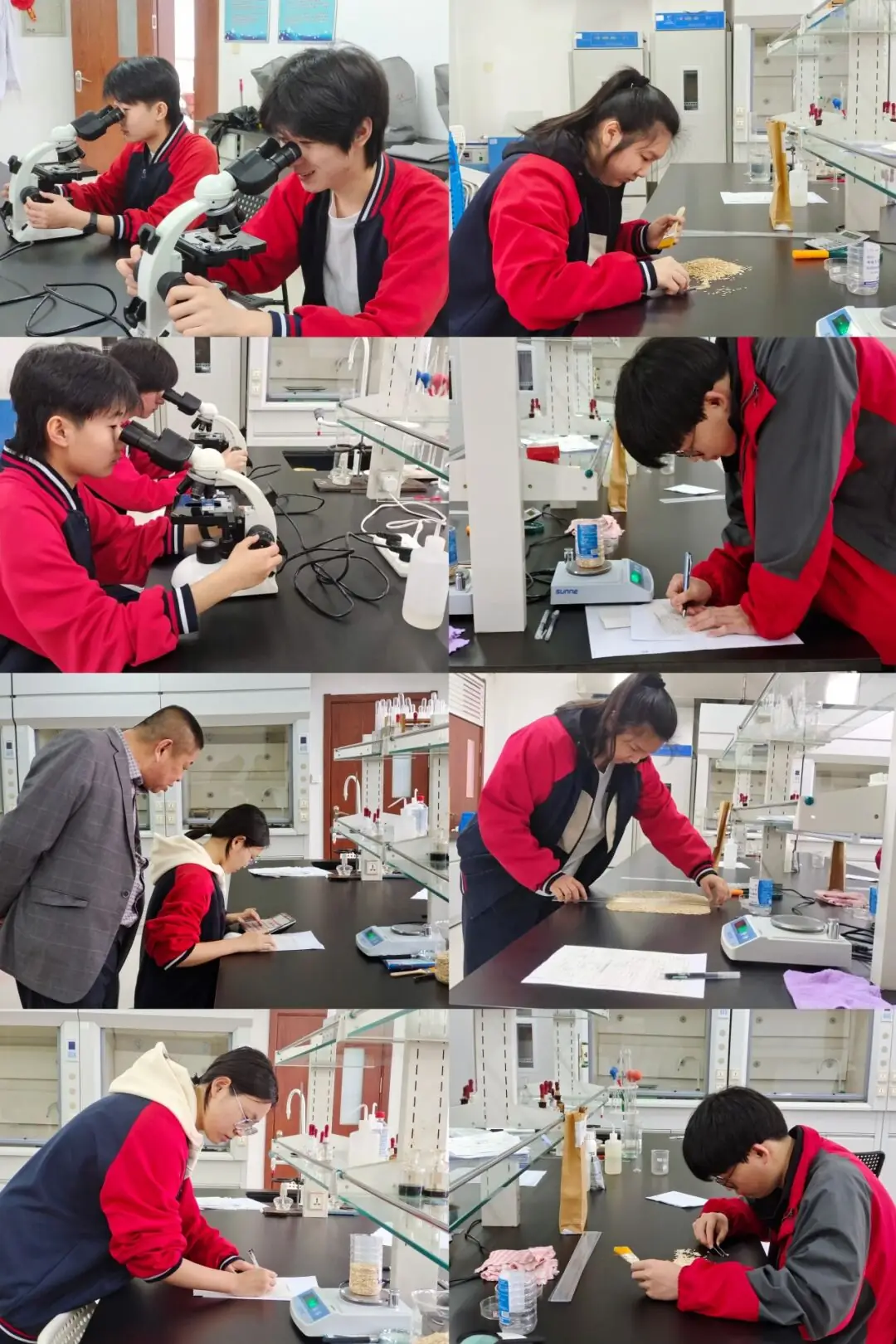 蟾宫折桂 圆梦高考——通河县职业教育中心学校-第16张图片-四季读书网 蟾宫折桂 圆梦高考——通河县职业教育中心学校-第16张图片-四季读书网