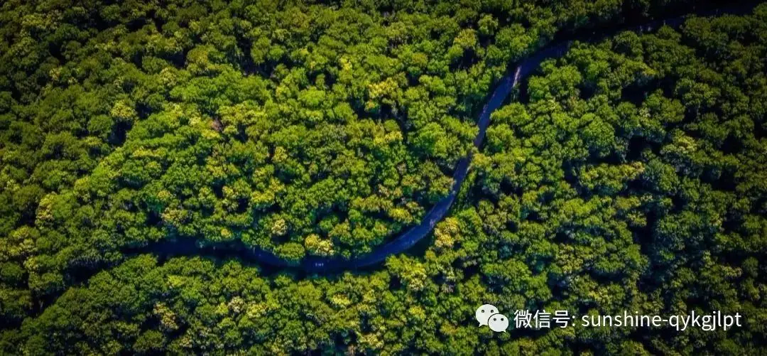 高考语文小说新题型双文本阅读-第25张图片-四季读书网