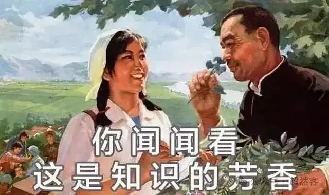 新高考背景下高二如何提质增效? 第4张 新高考背景下高二如何提质增效? 第4张