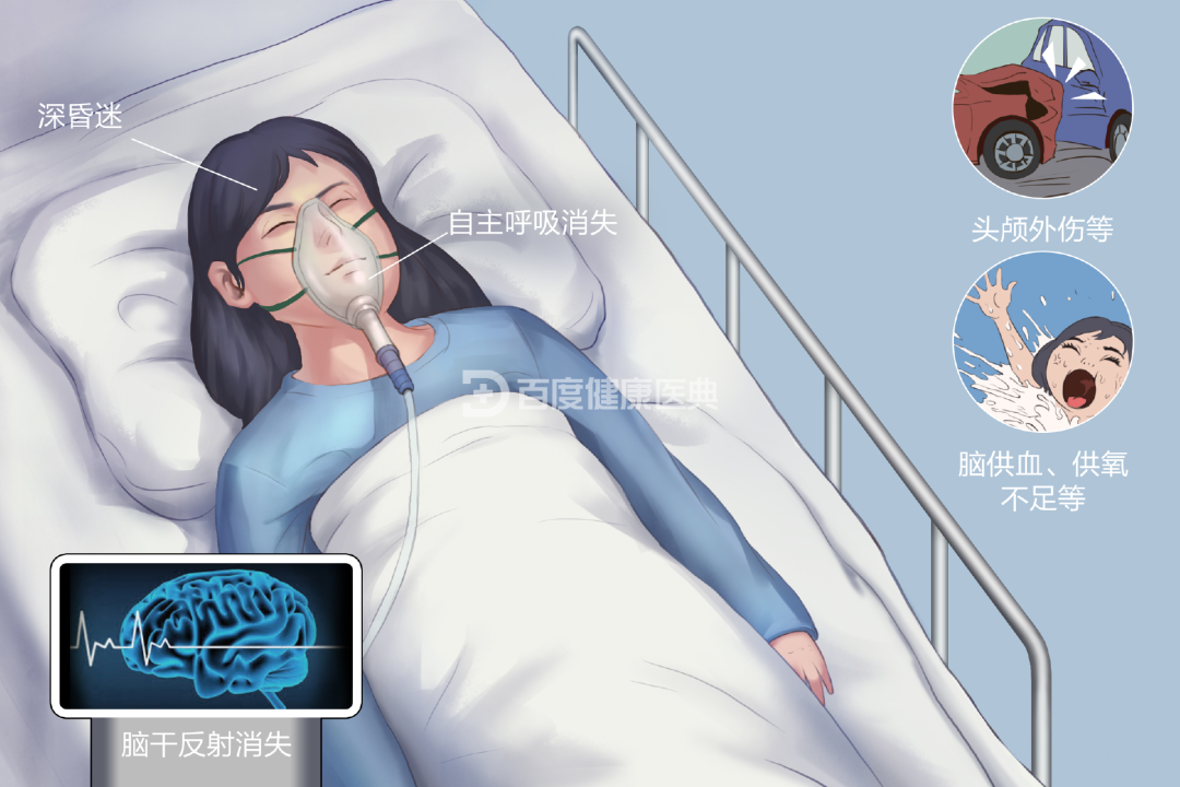 湖北17岁女孩高考前确诊脑死亡,父母刚签完器官捐献,突然接到来电:能救活…-第4张图片-四季读书网