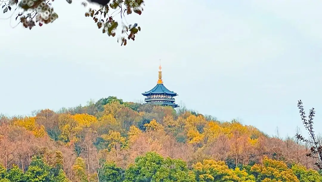 王兆斌作品 中考力学大单元复习课 课堂实录-第5张图片-四季读书网 王兆斌作品 中考力学大单元复习课 课堂实录-第5张图片-四季读书网