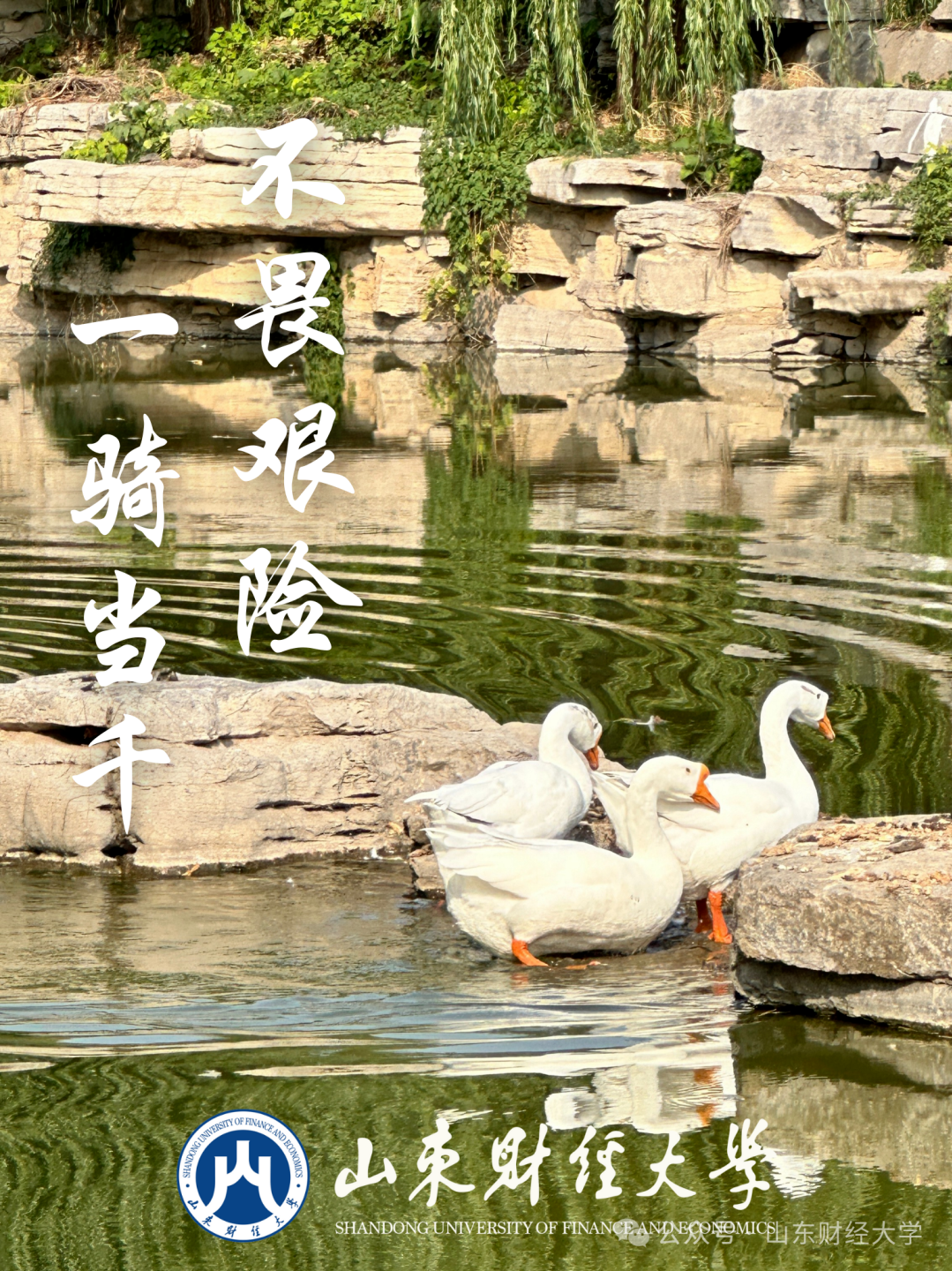 高考倒计时50天!我在山东财大等你!-第6张图片-四季读书网 高考倒计时50天!我在山东财大等你!-第6张图片-四季读书网
