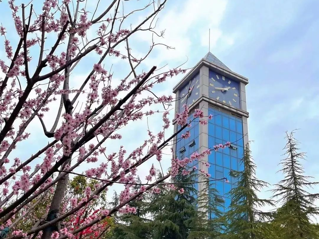 高考倒计时50天!我们首义相见!-第11张图片-四季读书网 高考倒计时50天!我们首义相见!-第11张图片-四季读书网