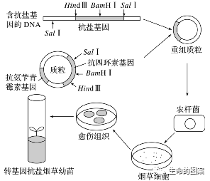 【高考备考】长句表达规范练-第19张图片-四季读书网 【高考备考】长句表达规范练-第19张图片-四季读书网