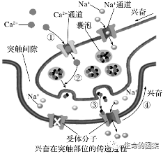 【高考备考】长句表达规范练-第6张图片-四季读书网 【高考备考】长句表达规范练-第6张图片-四季读书网