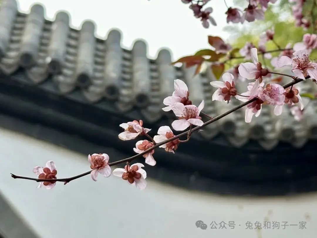 2024年高考倒计时(6)-第4张图片-四季读书网 2024年高考倒计时(6)-第4张图片-四季读书网