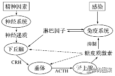 【高考备考】长句表达规范练-第9张图片-四季读书网 【高考备考】长句表达规范练-第9张图片-四季读书网