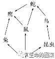 【高考备考】长句表达规范练-第16张图片-四季读书网 【高考备考】长句表达规范练-第16张图片-四季读书网